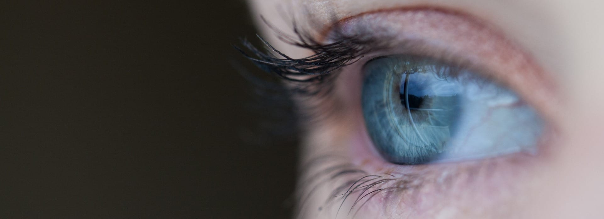 photo of blue human eye